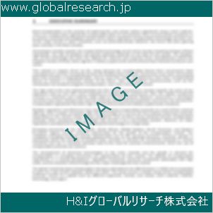 グローバルリサーチ調査資料のイメージ